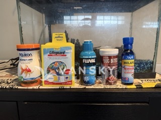 260214153922_鱼缸 2.jpeg